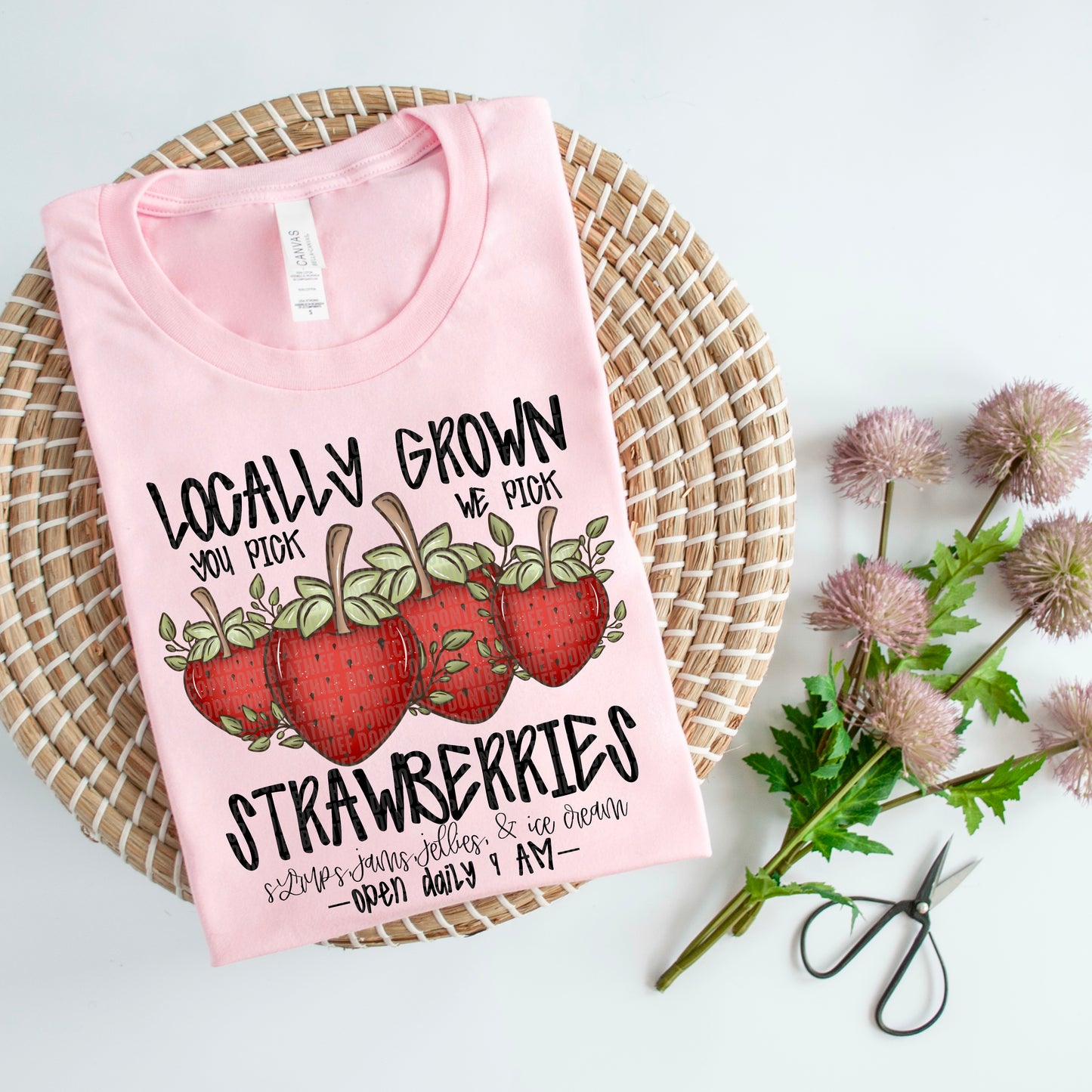 Locally Grown Strawberries-Ollie & Co.