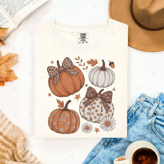 COQUETTE FALL PUMPKINS