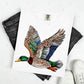 FLYING DUCK - FAUX RHINESTONES
