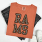 FOOTBALL MASCOTS - FAUX GLITTER
