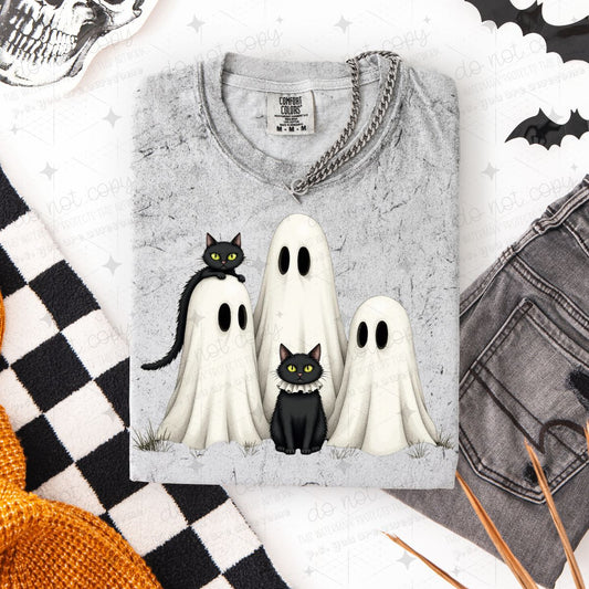 GHOSTS & CATS